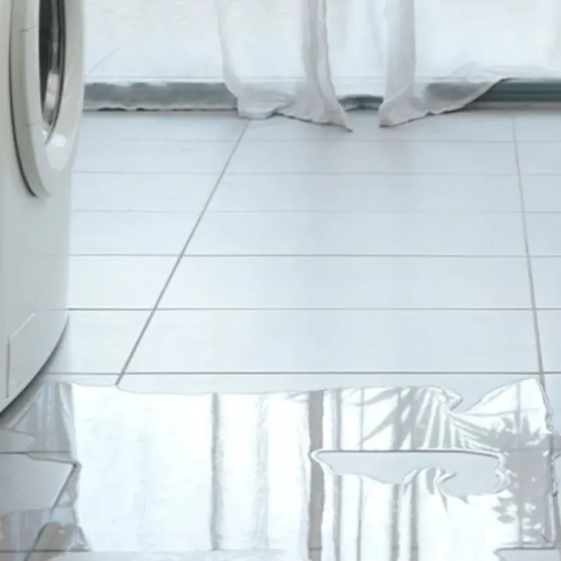 Appliance Leak Cleanup in Madison, MN