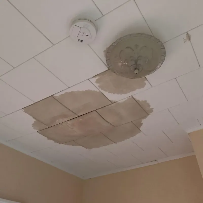 Ceiling Water Damage Repair in Madison, MN